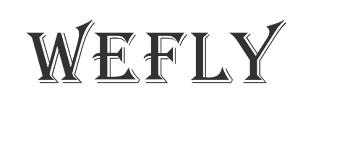 WEFLY logo