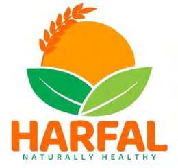 NATURALLY HEALTHY logo