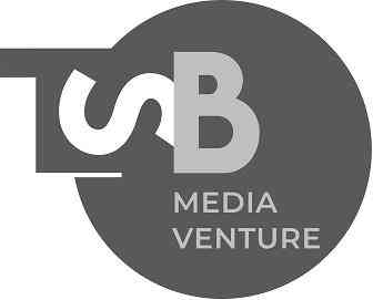 MEDIA VENTURE logo