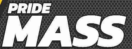 MASS logo