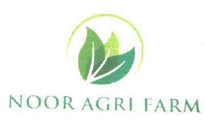 NOOR AGRI FARM logo