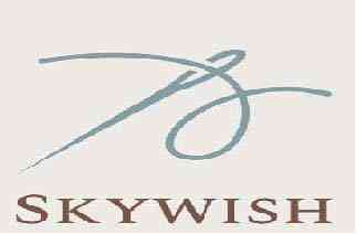 SKYWISH logo