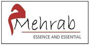 ESSENCE AND ESSENTIAL logo