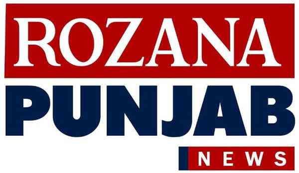PUNJAB logo