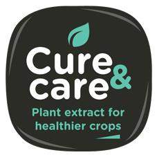 Cure care logo