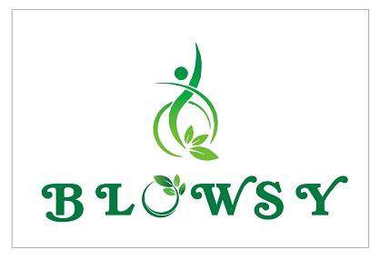BLOWSY logo
