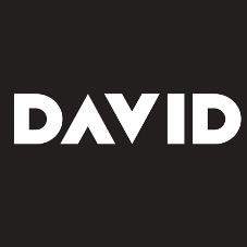 DAVID logo