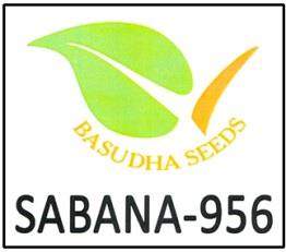 SABANA-956 logo