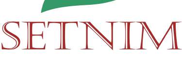SETINIM logo