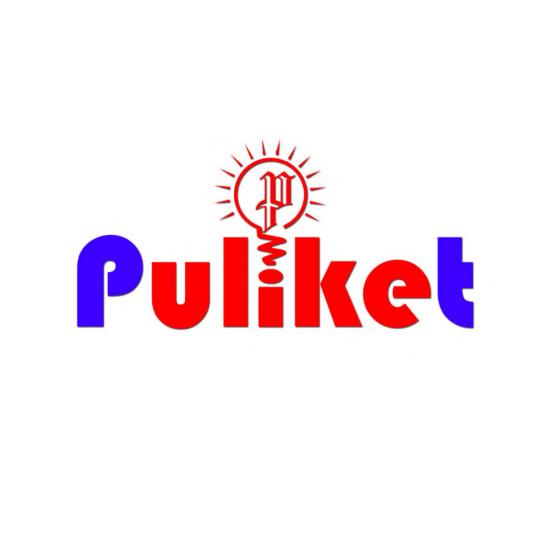 Puliket logo