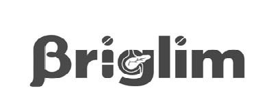 Briglim logo