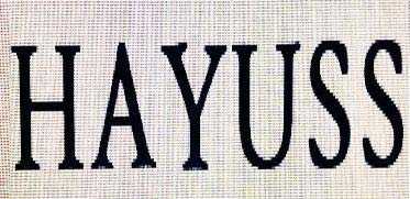 HAYUSS logo