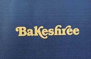Balesfiree logo
