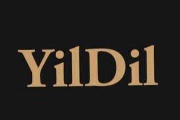 YilDil logo