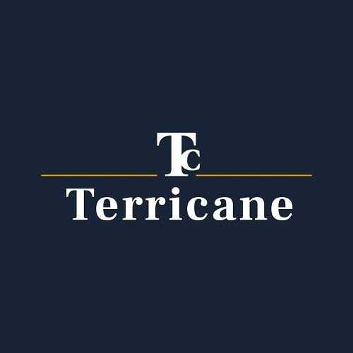 Terricane logo