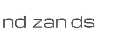 nd zands logo