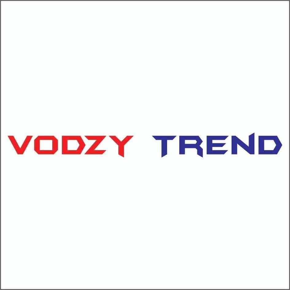 VODZY TREND logo