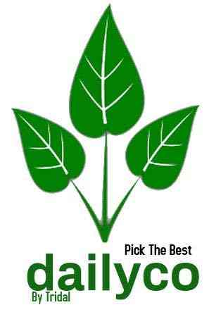 dailyco logo