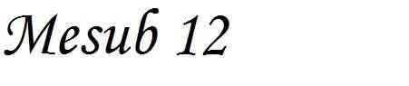 Mesub 12 logo