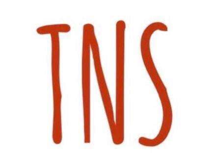 INS logo