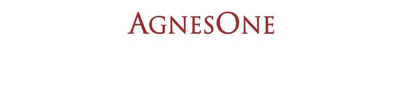 AGNESONE logo