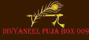DIVYANEEL PUJA BOX 009 logo