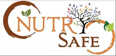 SAFE logo