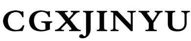 CGXJINYU logo