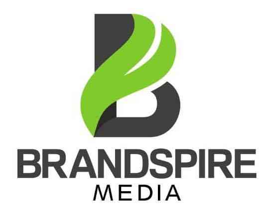 BRANDSPIRE MEDIA logo