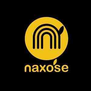 naxose logo