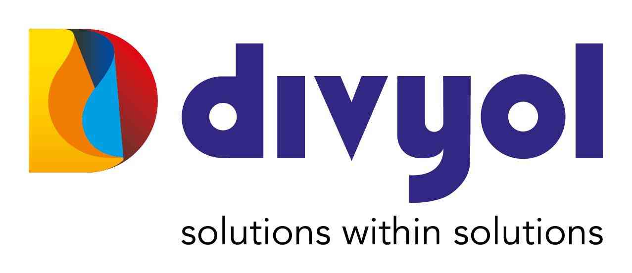 solutions within solutions logo