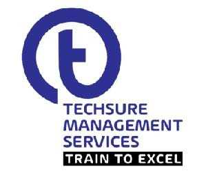 TECHSURE MANAGEMENT SERVICES logo