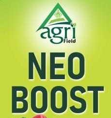 NEO BOOST logo