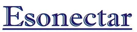 Esonectar logo