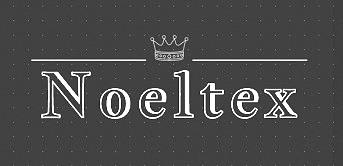 Noeltex logo