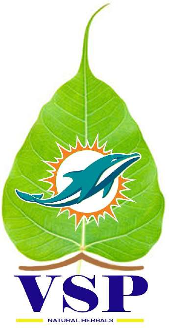VSP logo