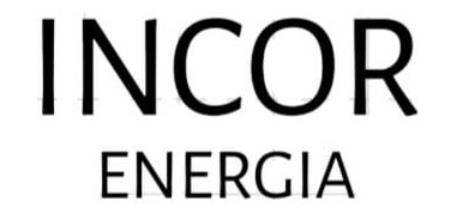 INCOR logo