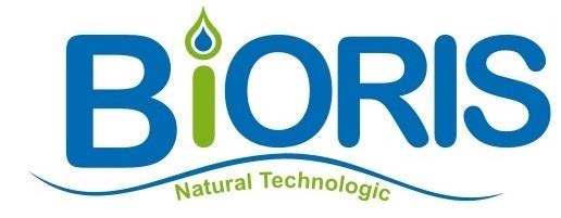 BiORIS logo