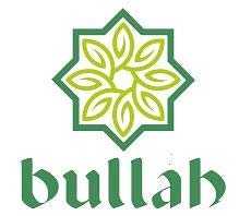 bullab logo