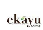 ekayu logo