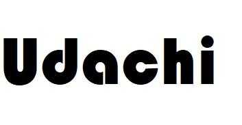 Udachi logo