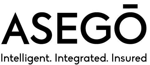 Intelligent. Integrated. Insured logo