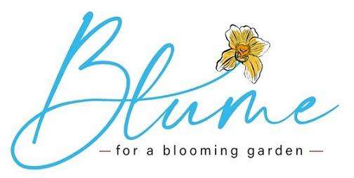 —fora blooming garden — logo