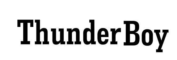 ThunderBoy logo