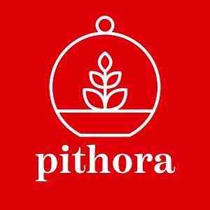 pithora logo