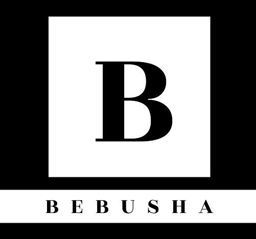 BEBUS HA logo