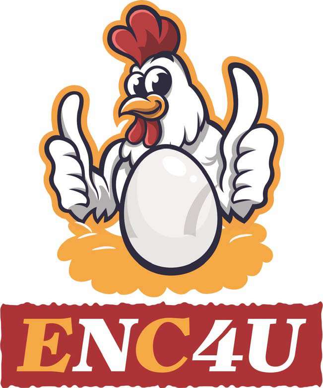 ENC4U logo