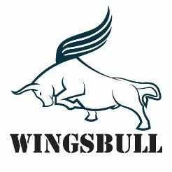 WINGSBULL logo