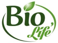 Big) logo