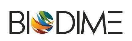 BISDIM= logo
